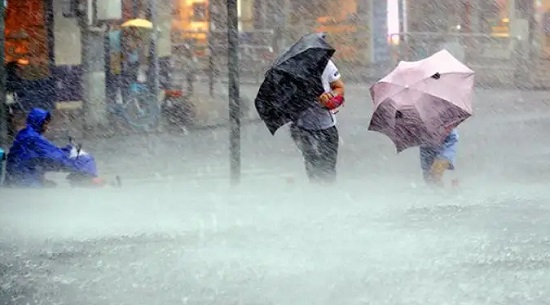 大雨到暴雨！个别地点大暴雨.jpg